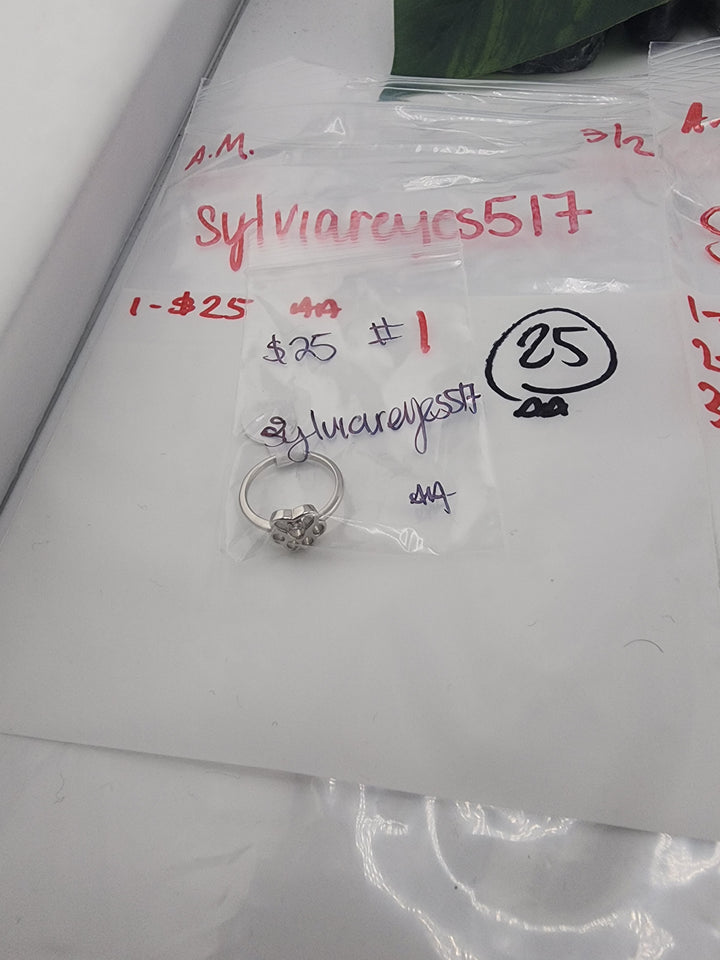 sylviareyes517 - 3/2/26 - 1 925 Sterling Silver Items