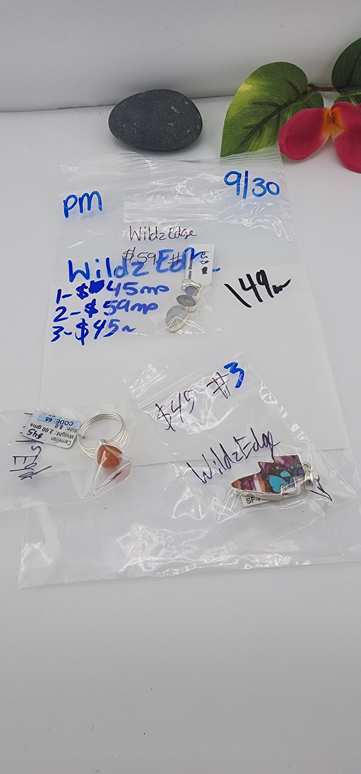PM SHOW 48HR - RESERVED FOR: WildzEdge - 9/30/2025 FL tiktok Live Show - 3 Sterling Silver Items