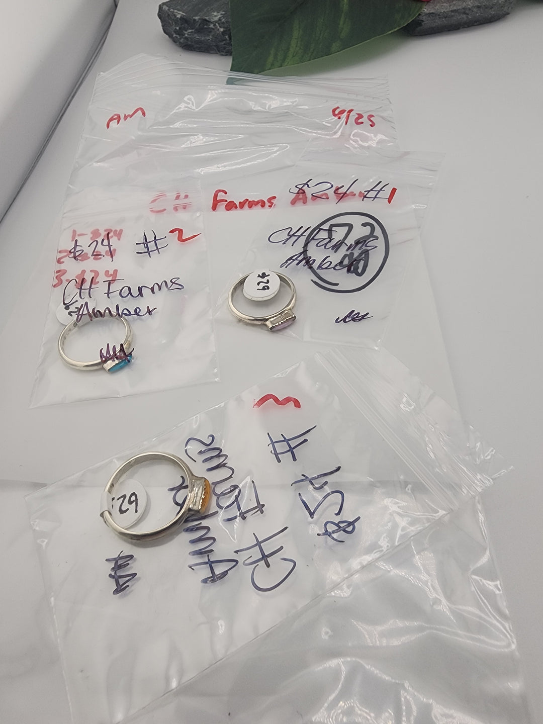 CH Farms Amber - 6/25/26 AM - 3 925 Sterling Silver