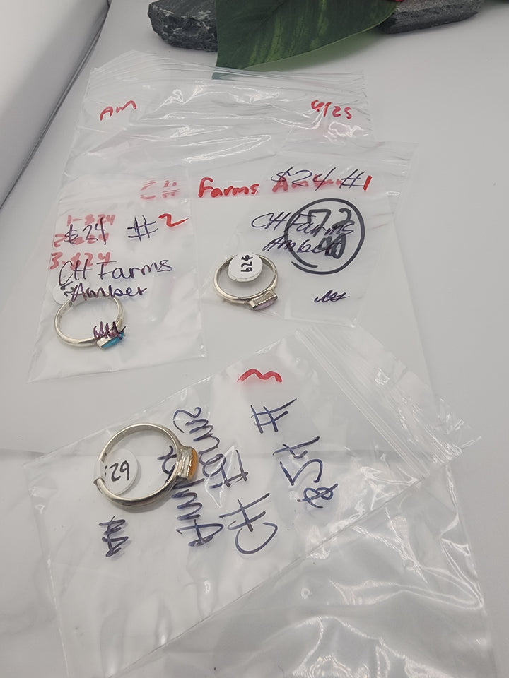CH Farms Amber - 6/25/26 AM - 3 925 Sterling Silver