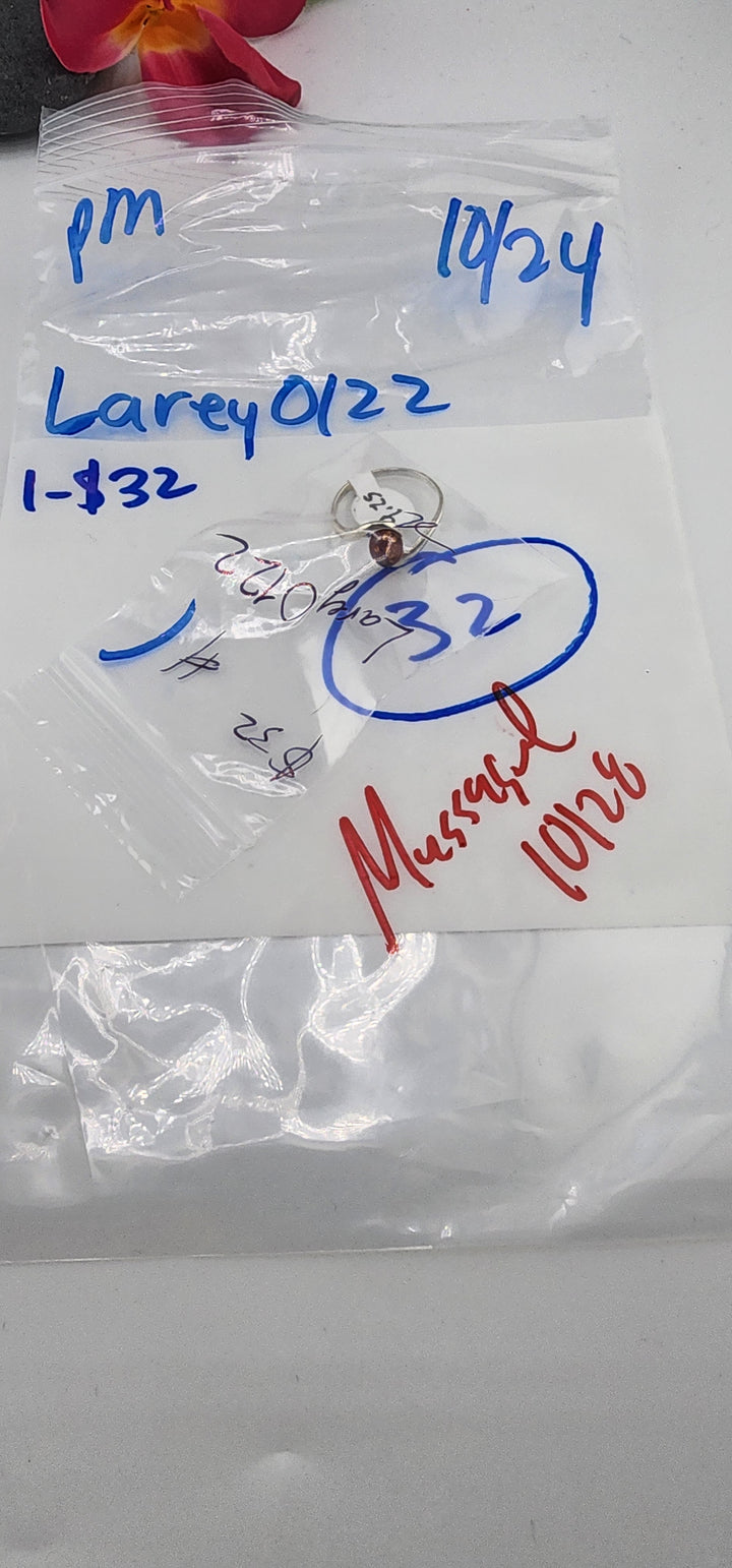 PM SHOW 48HR - RESERVED FOR: Larey0122 - 10/24/2025 FL tiktok Live Show - 1 Sterling Silver Items