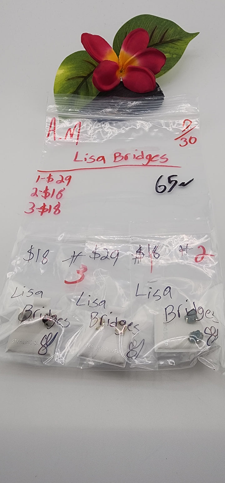 AM SHOW 48HR - RESERVED FOR: Lisa Bridges - 7/30/2025 FL tiktok Live Show - 3 Sterling Silver Items