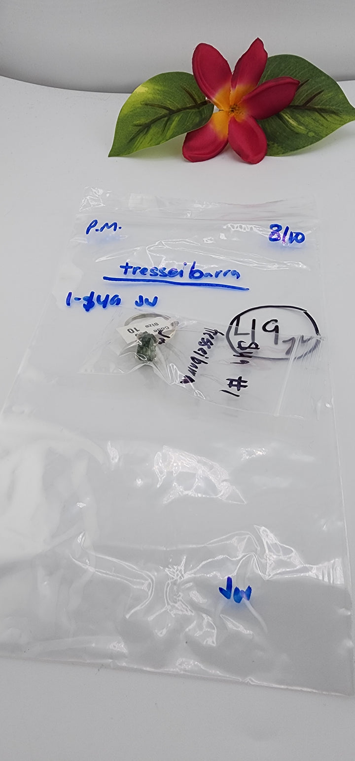 PM SHOW 48HR - RESERVED FOR:  tresseibarra - 8/10/2025 FL tiktok Live Show - 1 Sterling Silver Items