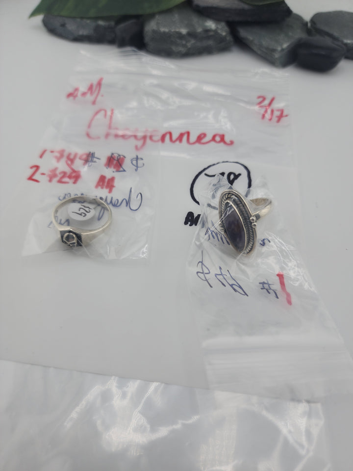 Cheyennea- 2/17/26 - 2 925 Sterling Silver Items