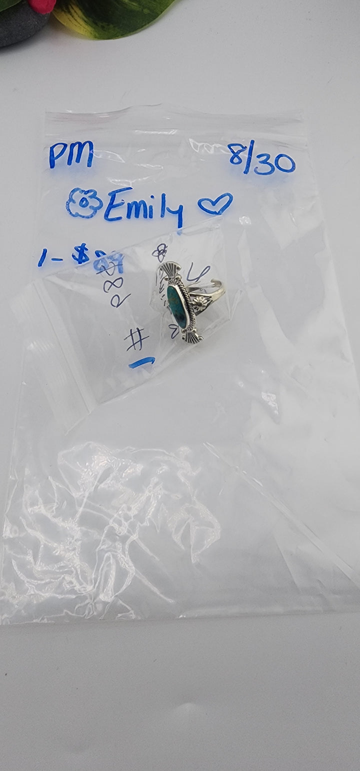 PM SHOW 48HR - RESERVED FOR:🌸Emily❤️  - 8/30/2025 FL tiktok Live Show - 1 Sterling Silver Items