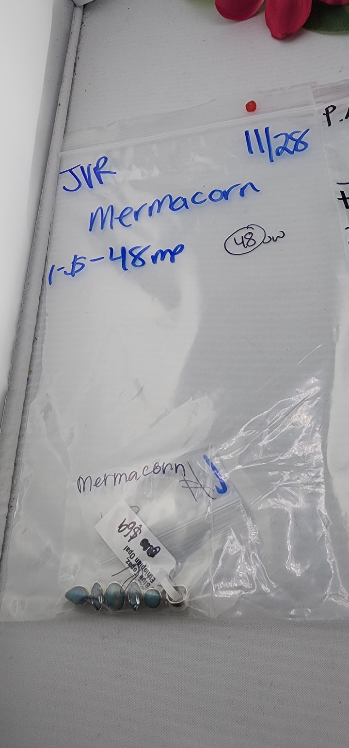 BF PM SHOW 48HR - RESERVED FOR: mermacorn  - 11/28/2025 tiktok Live Show -1 Sterling Silver Items