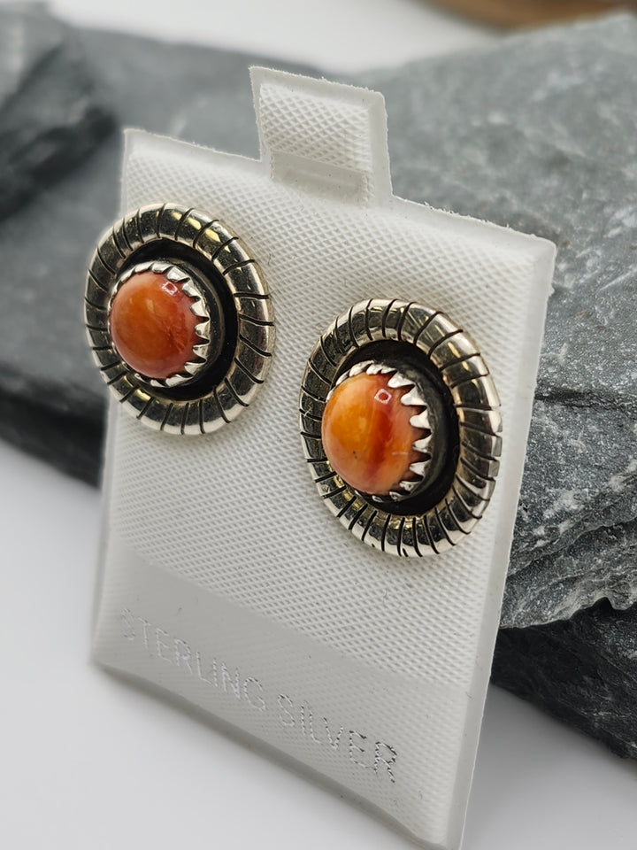 Spiny Oyster PostBack Earrings
