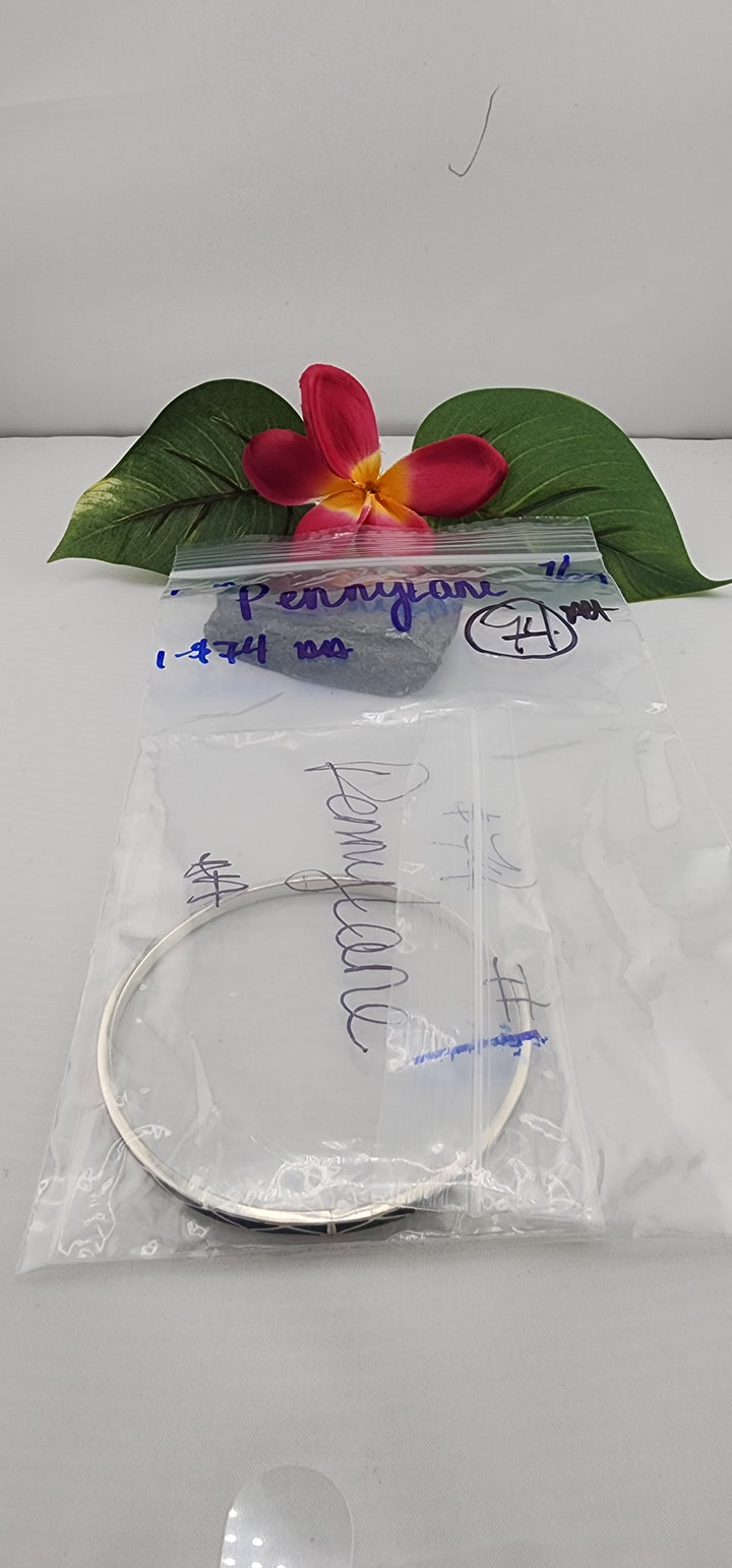 PM SHOW 48HR - RESERVED FOR: PennyLane - 7/29/2025 FL tiktok Live Show - 1 Sterling Silver Items
