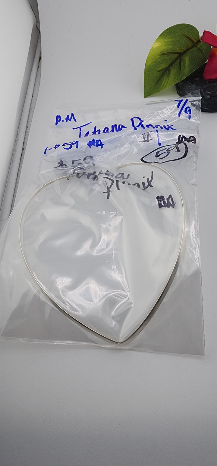 PM SHOW 48HR - RESERVED FOR: Tatiana Pinnix  - 7/9/2025 FL tiktok Live Show - 1 Sterling Silver Items