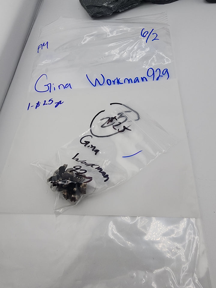 Gina Workman929 - 6/2/26 PM - 1 925 Sterling Silver
