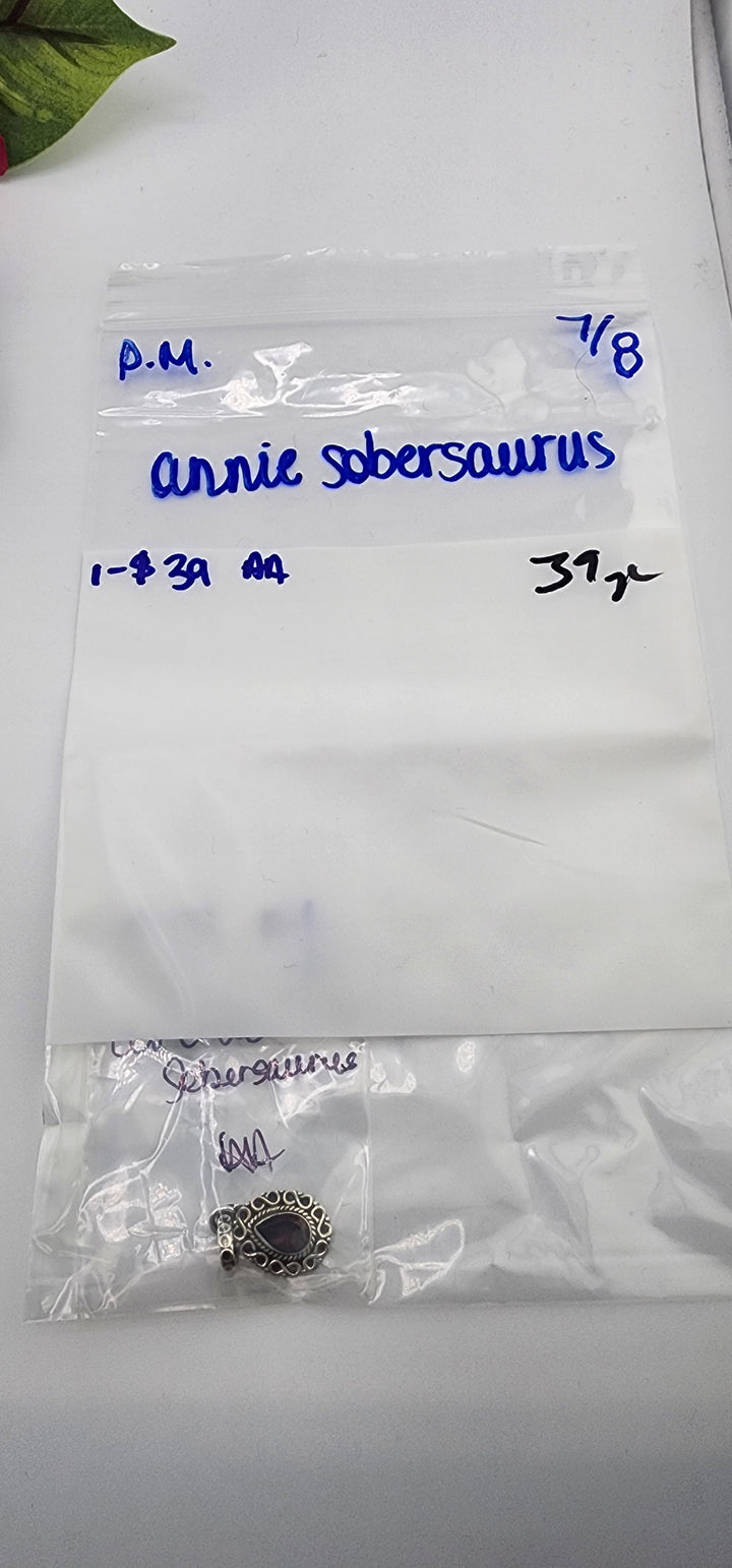 PM SHOW 48HR - RESERVED FOR: annie sobersaurus - 7/8/2025 FL tiktok Live Show - 1 Sterling Silver Items