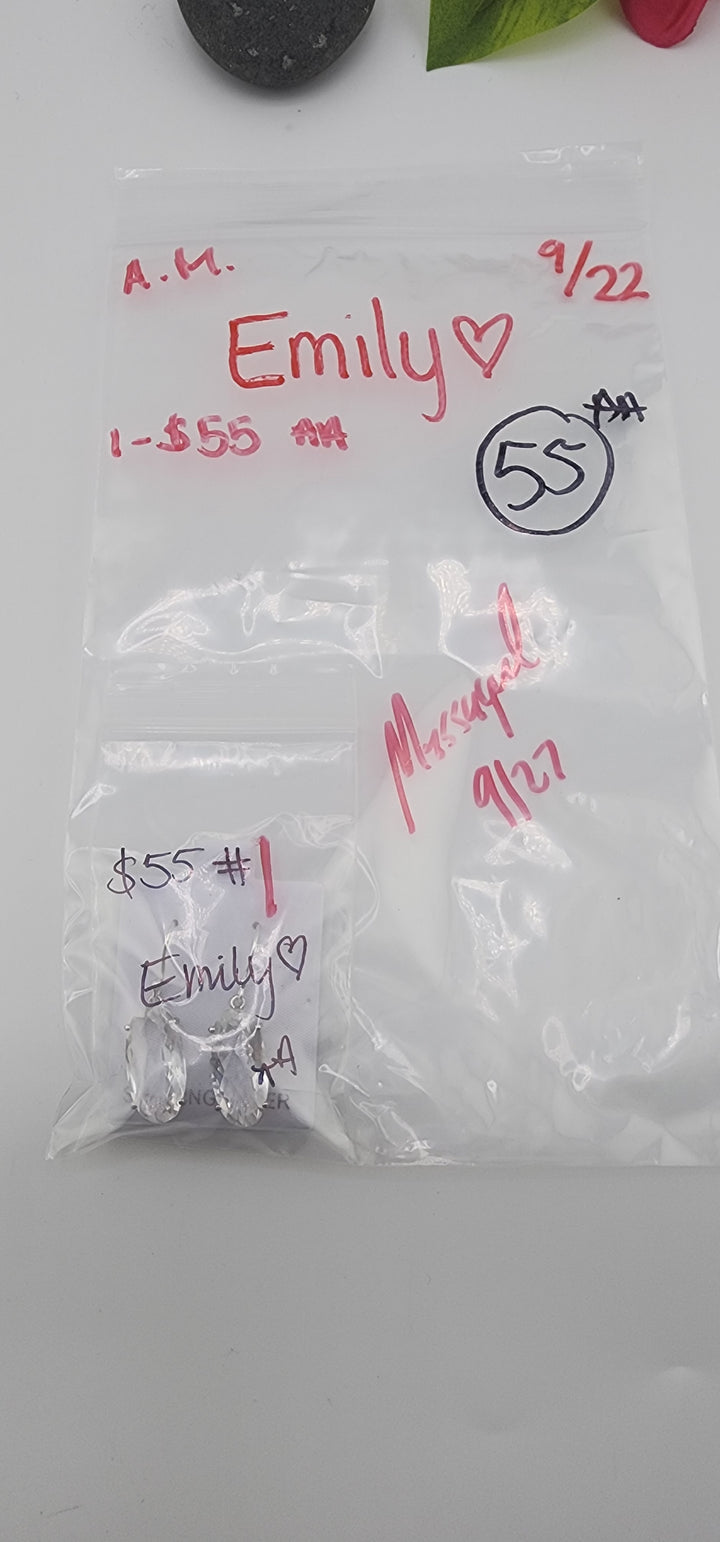 AM SHOW 48HR - RESERVED FOR: Emily💚 - 9/22/2025 FL tiktok Live Show - 1 Sterling Silver Items