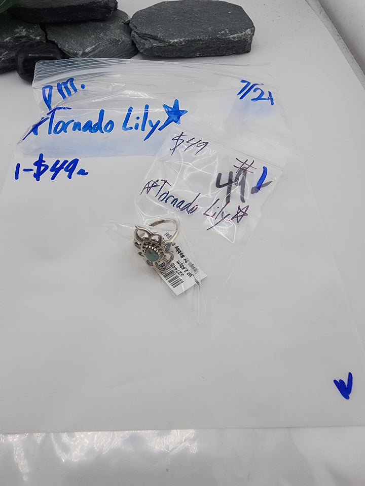 ⭐Tornado Lily⭐ - 3/21/26 - 1 925 Sterling Silver Items
