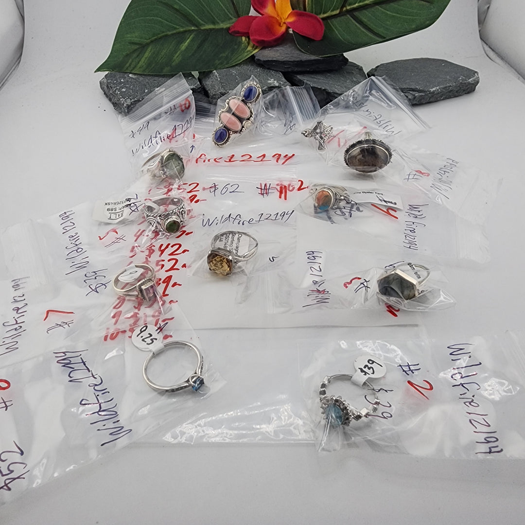 Wildfire12194 - 4/10/26 - 11 925 Sterling Silver Items