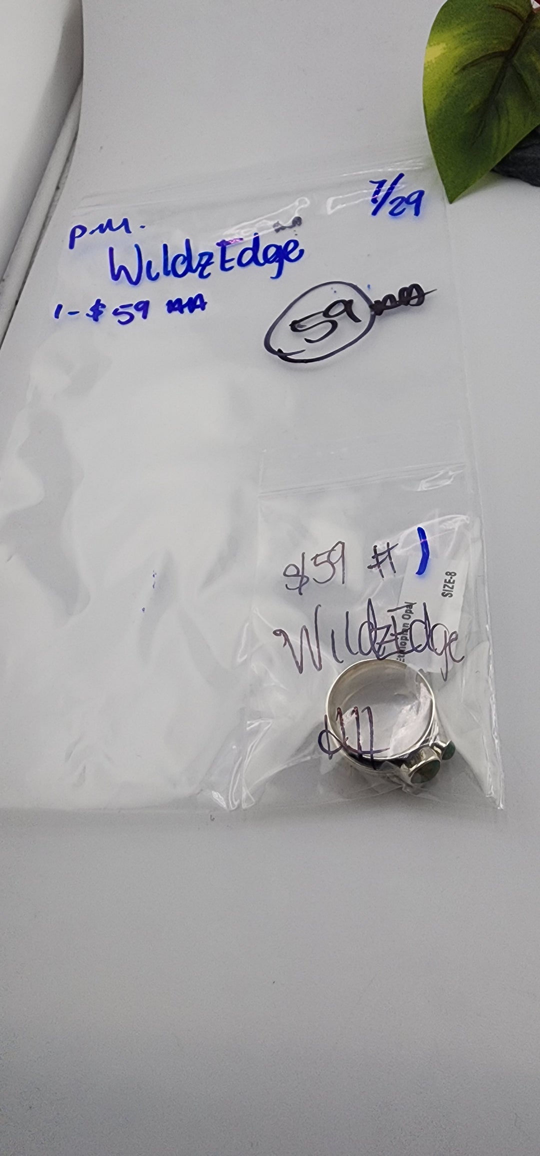 PM SHOW 48HR - RESERVED FOR: WildzEdge - 7/29/2025 FL tiktok Live Show - 1 Sterling Silver Items