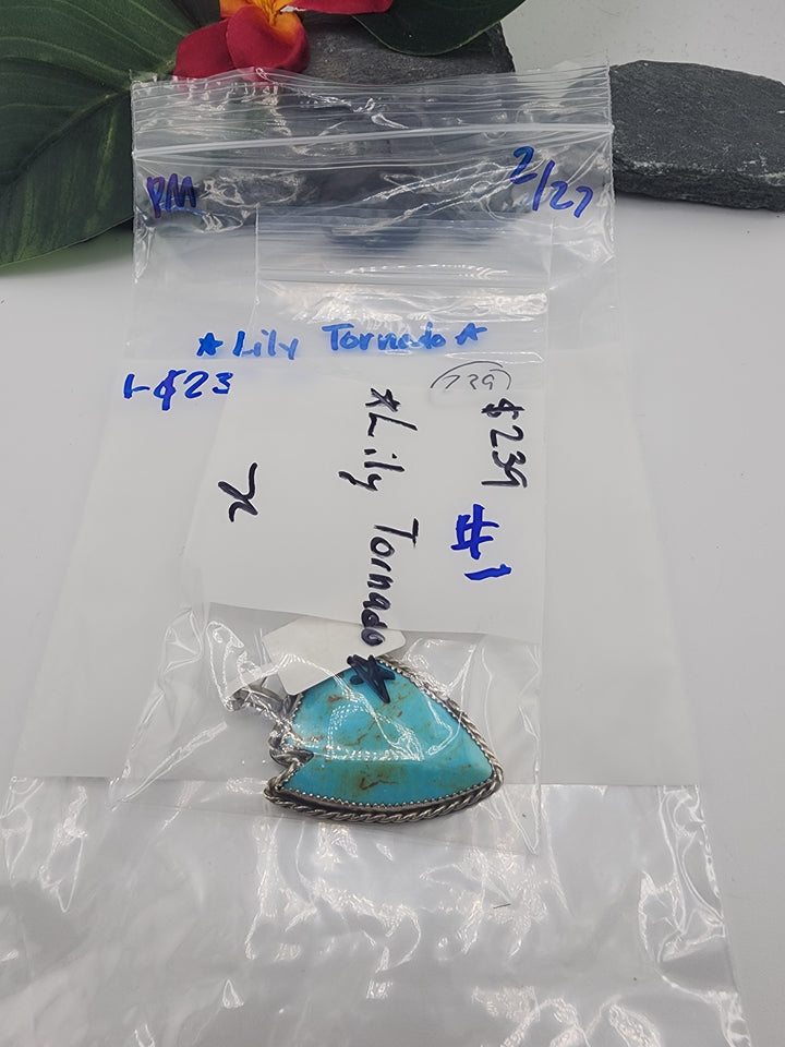 Lily Tornado- 2/27/26 -1 925 Sterling Silver Items