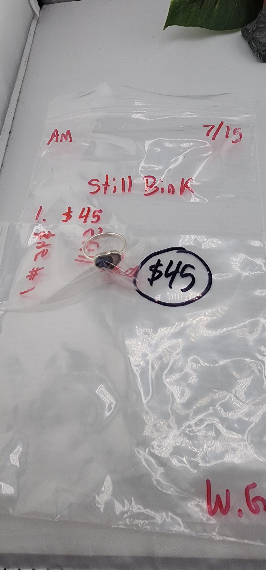 AM SHOW 48HR - RESERVED FOR: Still Bink  - 7/15/2025 FL tiktok Live Show - 1 Sterling Silver Items