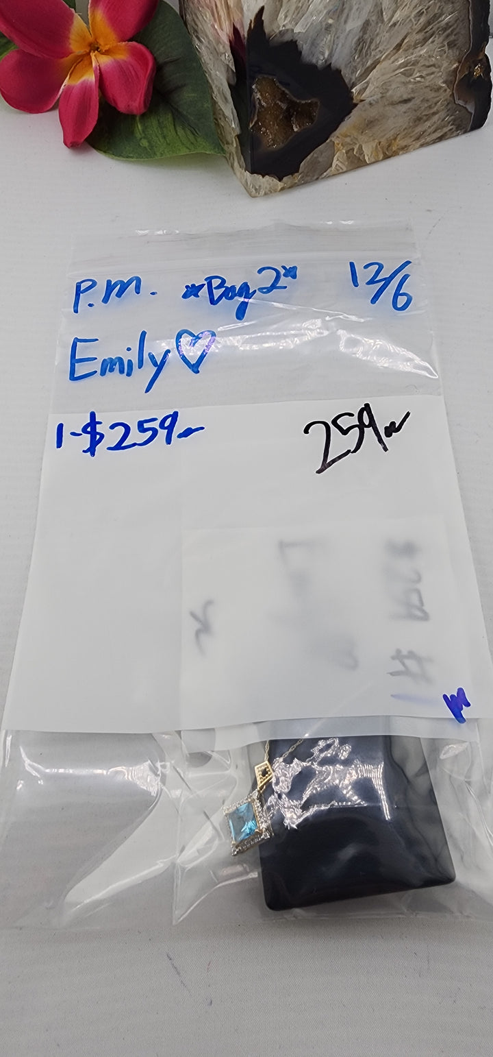 PM SHOW 48HR - RESERVED FOR: Emily💚 *BAG 2* - 12/6/2025 tiktok Live Show - 1 Sterling Silver Items (Copy)
