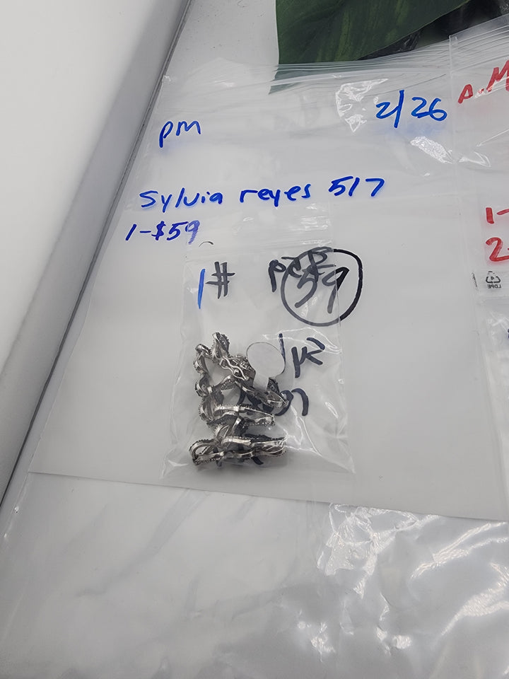 Sylviareyes517- 2/26/26 -1 925 Sterling Silver Items