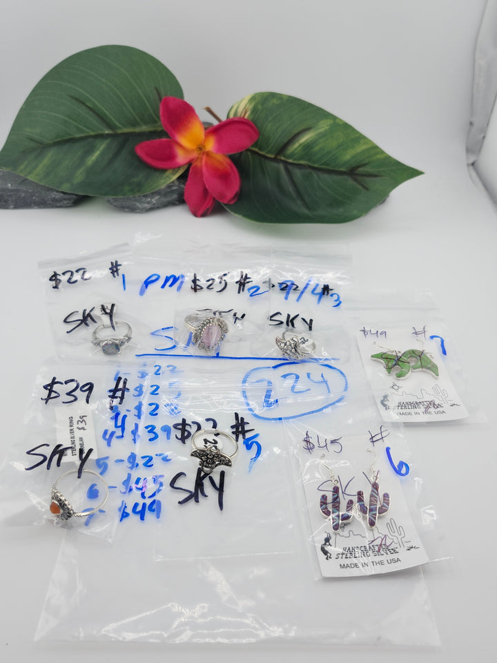 PM SHOW 48HR - RESERVED FOR: SKY - 9/04/2025 FL tiktok Live Show - 7 Sterling Silver Items