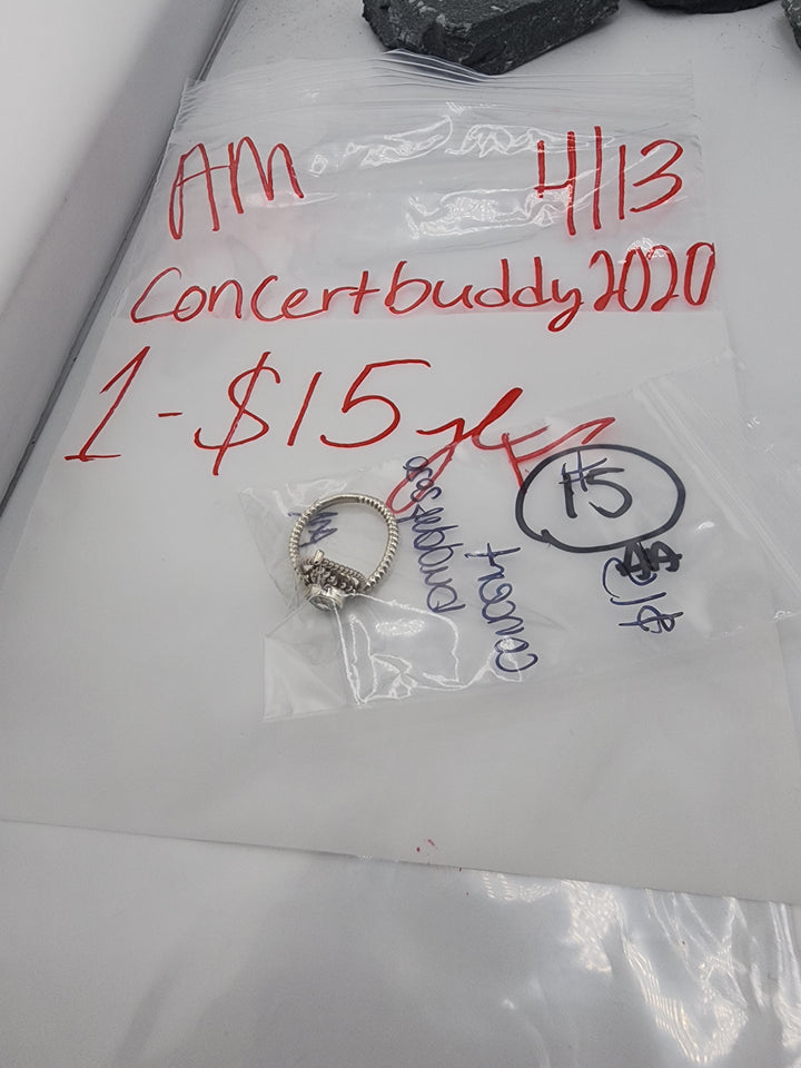 concertbuddy2020 - 4/13/26 - 1 925 Sterling Silver Items