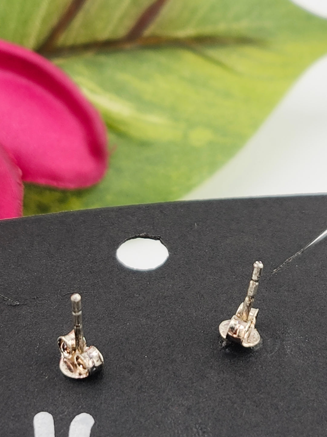 Queen Conch Stud 925 Sterling Silver Earrings