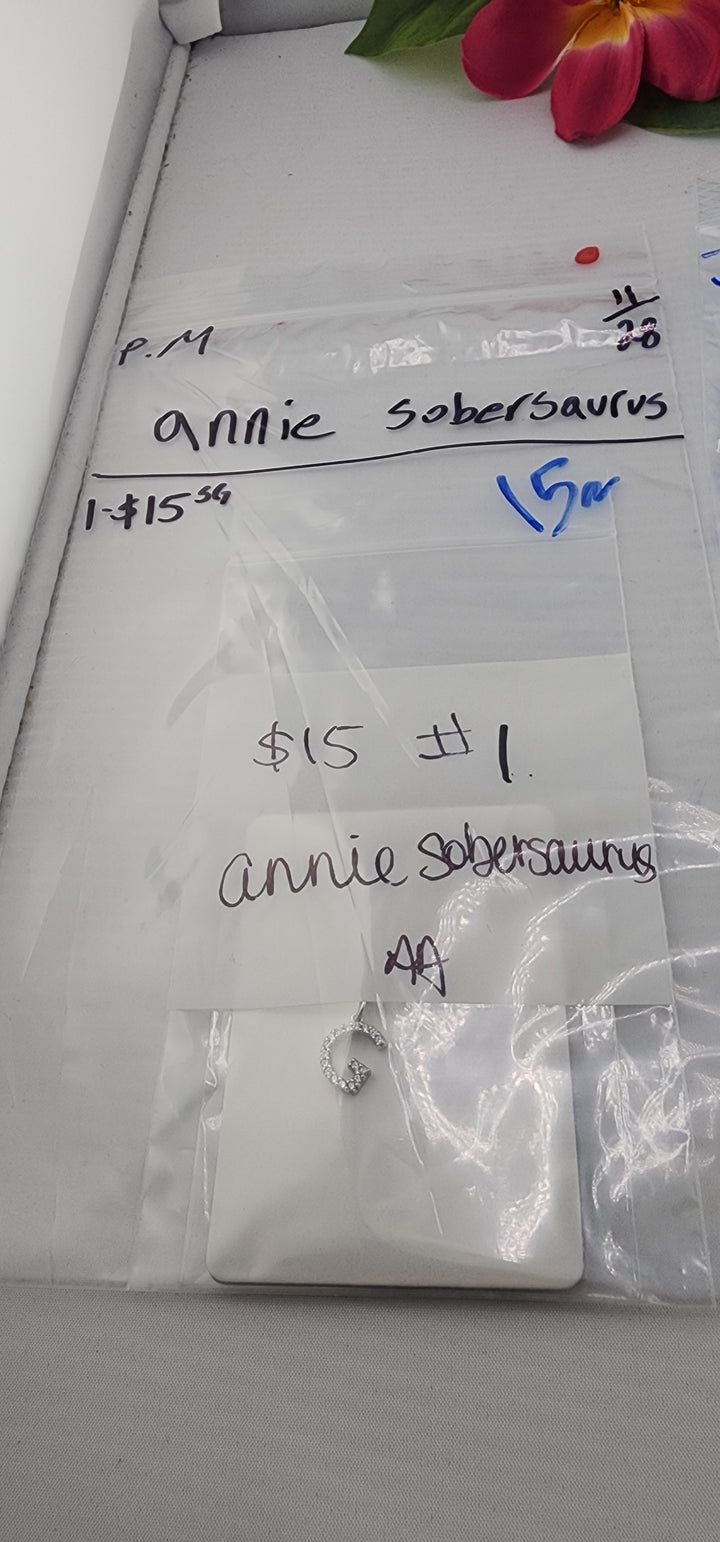 PM SHOW 48HR - RESERVED FOR: annie sobersaurus - 11/28/2025 tiktok Live Show - 1 Sterling Silver Items