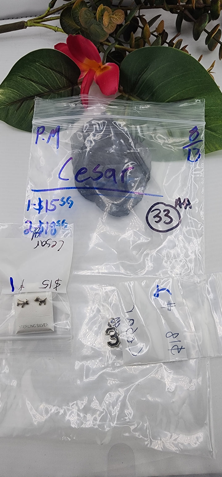 PM SHOW 48HR - RESERVED FOR: Cesar - 8/13/2025 FL tiktok Live Show - 2 Sterling Silver Items