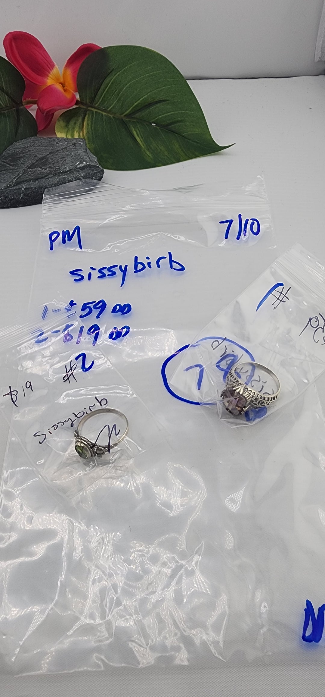 PM SHOW 48HR - RESERVED FOR: sissybirb  - 7/10/2025 FL tiktok Live Show - 2 Sterling Silver Items