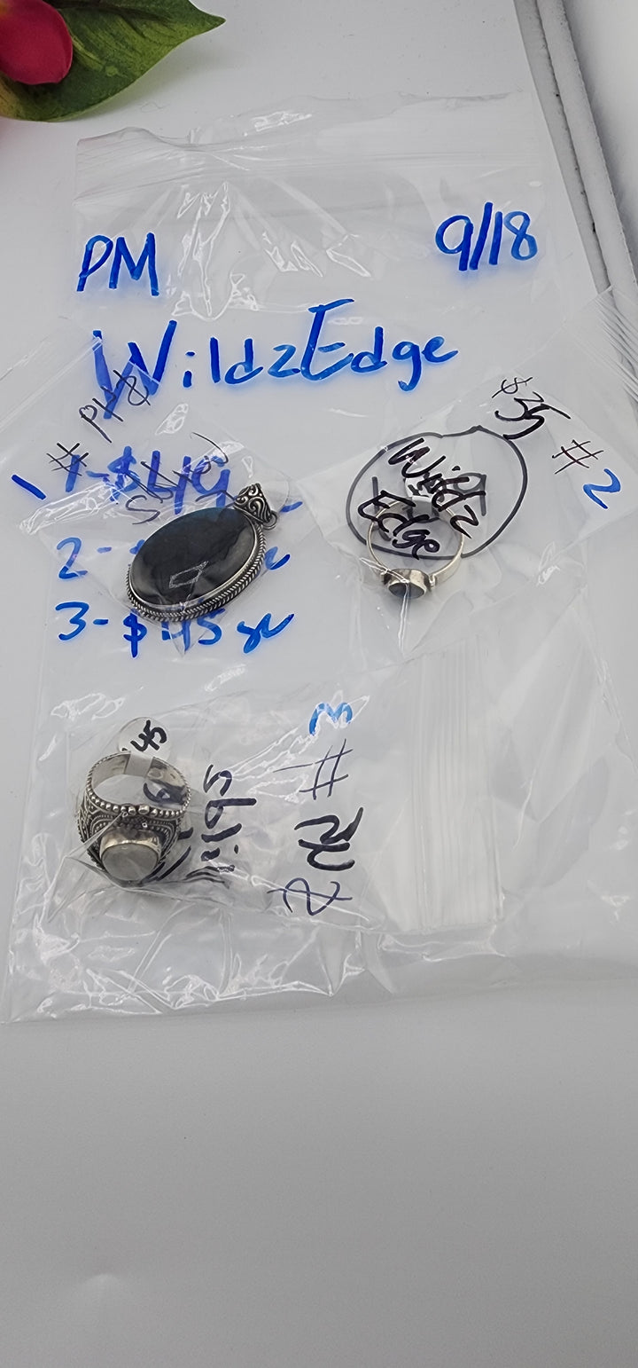 PM SHOW 48HR - RESERVED FOR: WildzEdge - 9/18/2025 FL tiktok Live Show - 3 Sterling Silver Items