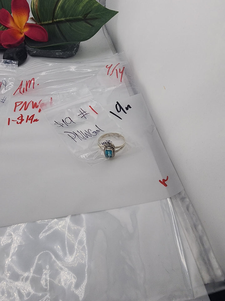 PNWgrl - 4/14/26 - 1 925 Sterling Silver Items
