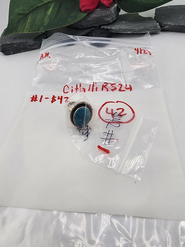 CitlalliRS24 - 4/23/26 - 1 925 Sterling Silver Items
