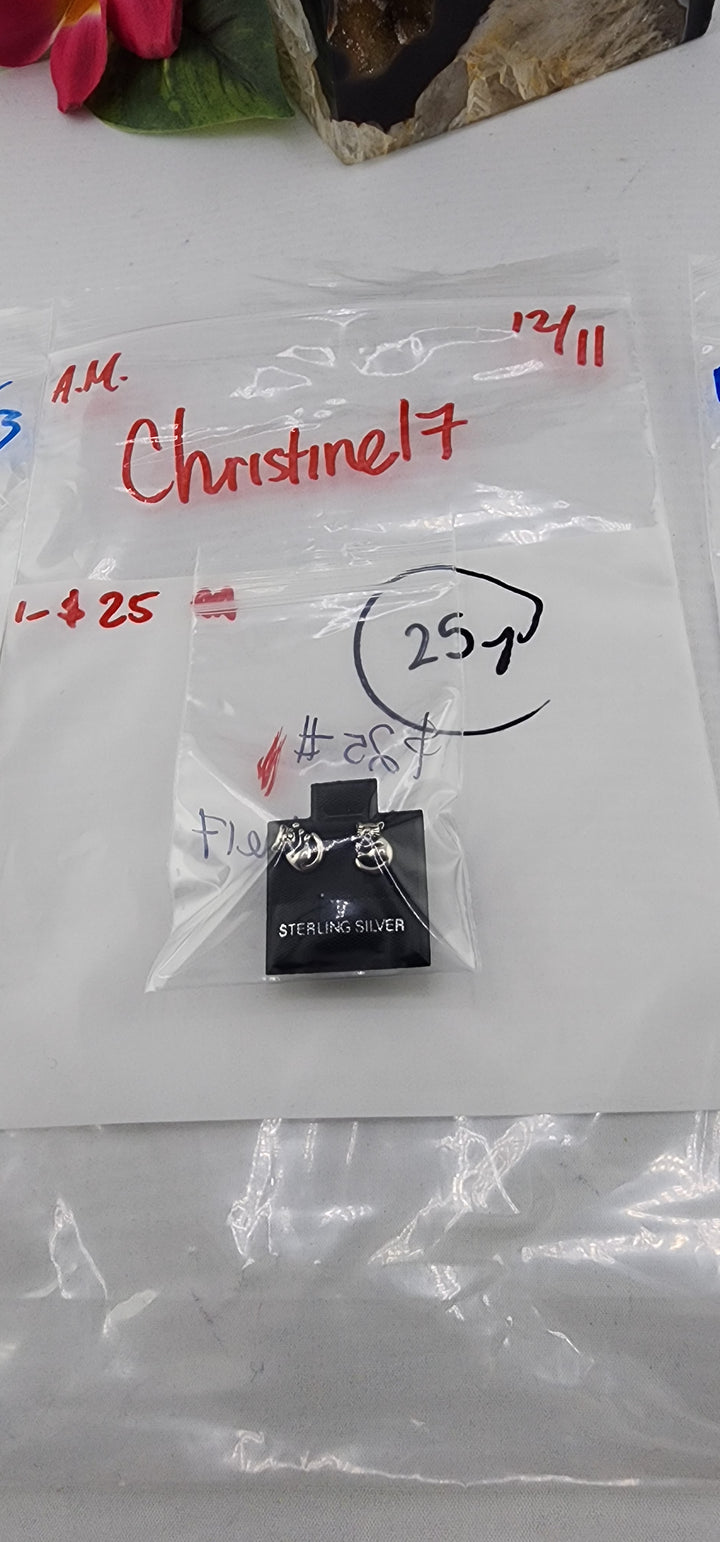 AM SHOW 48HR RESERVED FOR: Christine17 - 12/11/2025 FL tiktok Live Show - 1 Sterling Silver Items