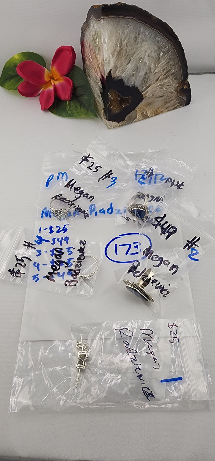 PM SHOW 48HR - RESERVED FOR: Megan Radziewicz - 12/13/2025 tiktok Live Show - 5 Sterling Silver Items