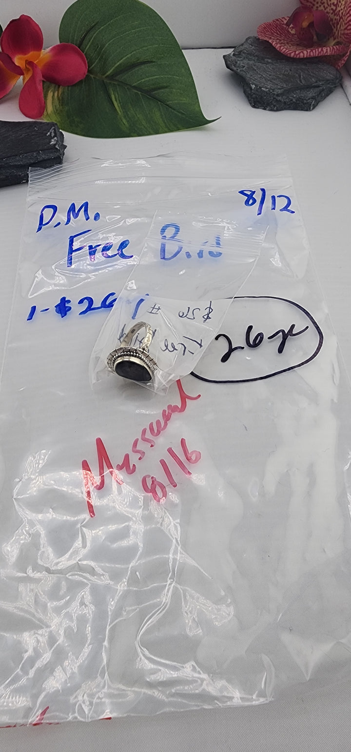 PM SHOW 48HR - RESERVED FOR: Free Bird  - 8/12/2025 FL tiktok Live Show - 1 Sterling Silver Items