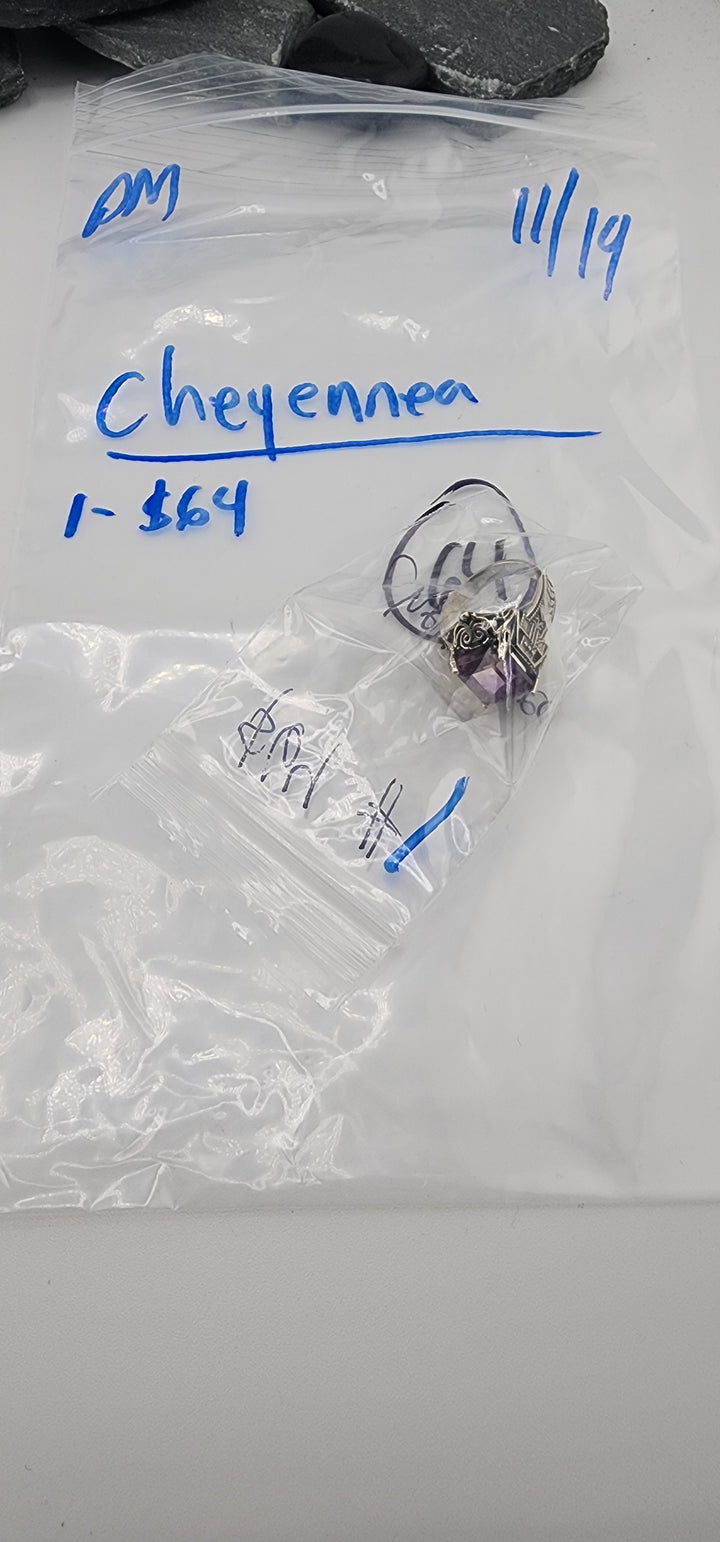 PM SHOW 48HR - RESERVED FOR: Cheyennea - 11/19/2025 tiktok Live Show - 1 Sterling Silver Items