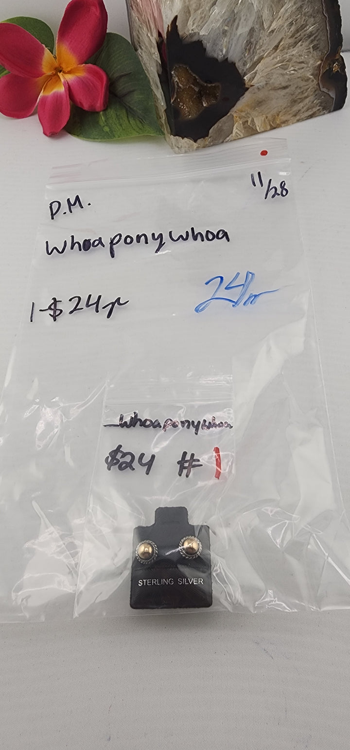 PM SHOW 48HR - RESERVED FOR: whoaponywhoa - 11/28/2025 tiktok Live Show - 1 Sterling Silver Items